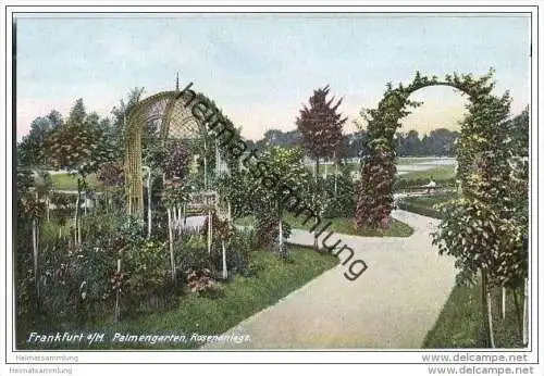 Frankfurt a. M. - Palmengarten - Rosenanlage