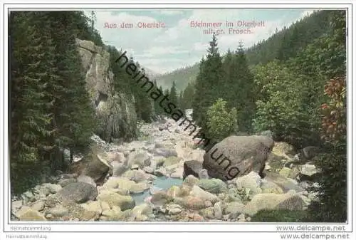 Okertal - Steinmeer im Okerbett - Grosser Frosch