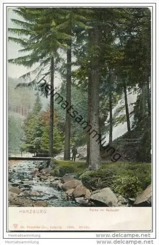 Bad Harzburg - Radautal