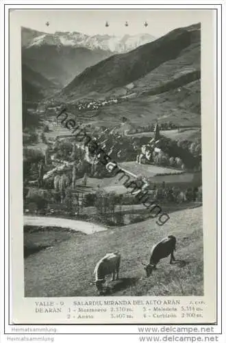 Valle de Aran - Salardu - Miranda del Alto Aran - Foto-AK ca. 1950