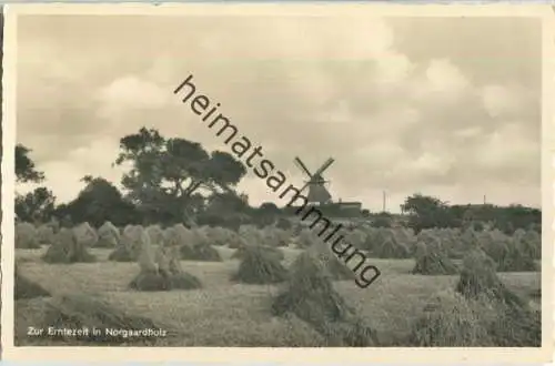 Norgaardholz - Windmühle  - Foto-Ansichtskarte - Verlag Foto-Remmer Langballig - Serie Das schöne Angeln