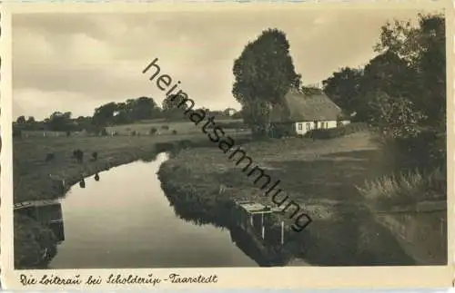 Loiter Au - Taarstedt-Scholderup - Foto-Ansichtskarte - Verlag Foto-Remmer Langballig - Serie Das schöne Angeln