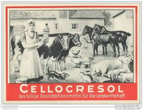 Fahlberg-List AG Chemische Fabriken Magdeburg - Cellocresol Desinfektionsmittel für die Landwirtschaft - DinA4 Blatt 30e