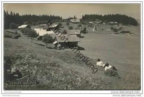 Bödele - Kolonie - Foto-AK 1925