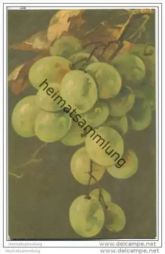 Trauben - Pastell-Postkarte
