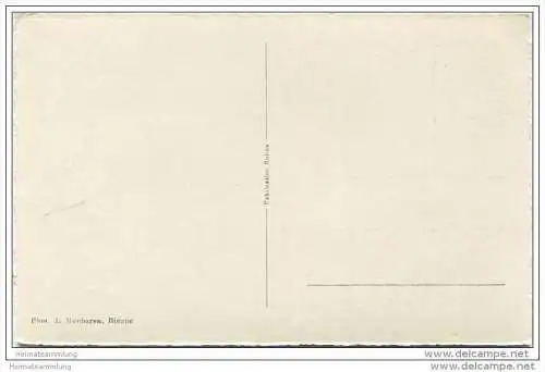 Biel - Stadtpark - Foto-AK