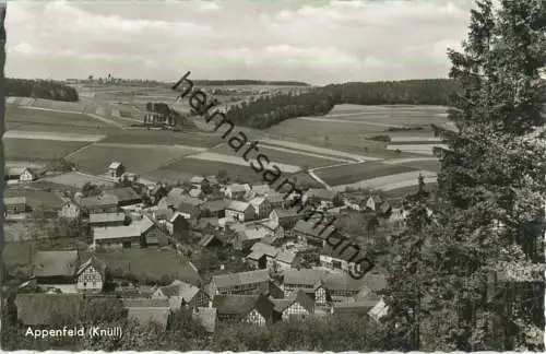 Appenfeld - Knüllwald - Foto-Ansichtskarte - Verlag Eckhardt Appenfeld 1962