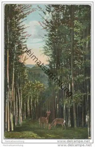 Eisenach - Der Durchblick von der Hohensonne nach der Wartburg