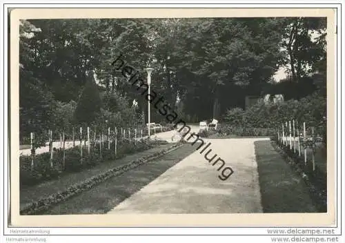 Greifenberg - Gryfice - Rosengarten - Foto-AK