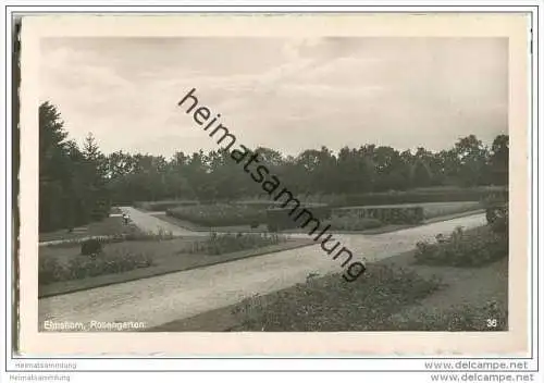 Elmshorn - Rosengarten - Foto-AK