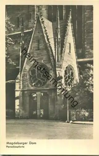 Magdeburg - Dom - Paradiespforte - Foto-Ansichtskarte - Verlag Gebr. Garloff Magdeburg