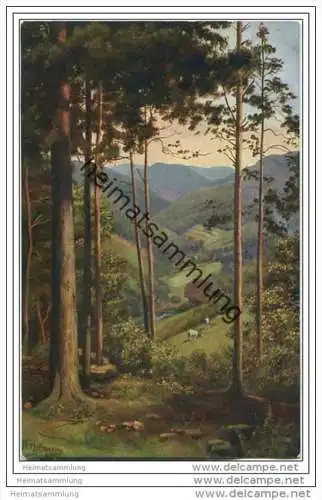 Durchblick ins Tal - Schwarzwaldserie Künstlerkarte signiert H. Hoffmann