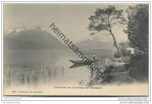 Landschaft am Thunersee