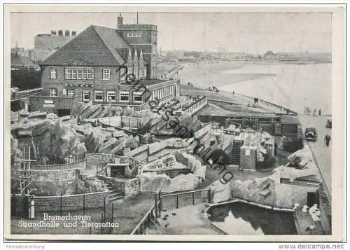 Bremerhaven - Strandhalle und Tiergrotten - Inhaber Paul Drewitzki - AK Grossformat - Verlag K. Eden Bremerhaven