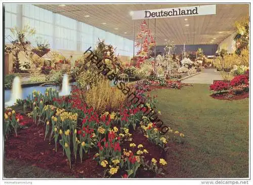 Berlin - Internationale Grüne Woche 1967 - Blumenhalle
