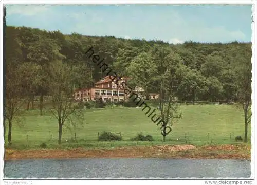 Wald- und Pensionshaus Haus Reitling im Elm