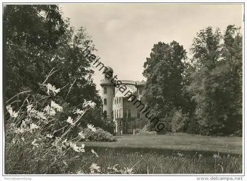 Berlin - Pfaueninsel - Schloss - Foto-AK 50er Jahre