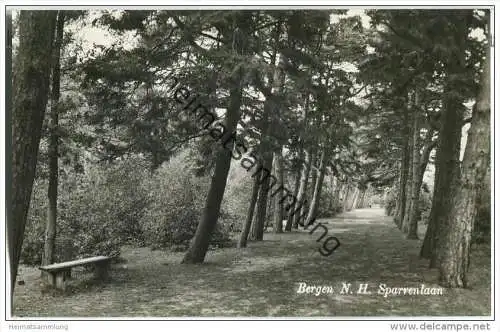 Bergen N. H. - Sparrenlaan - Foto-AK 50er Jahre