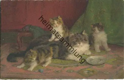 Katzenfamilie - Katzenmama und drei Junge