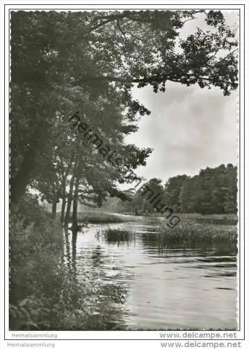 Berlin - Schlachtensee - Foto-AK Grossformat