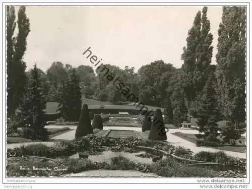 Berlin - Botanischer Garten - Foto-AK Grossformat