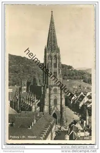 Freiburg - Münster