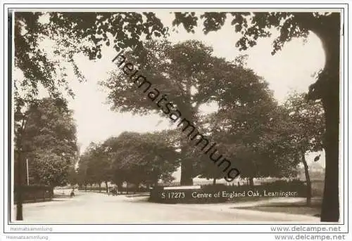 Leamington Spa - Centre of England Oak - Foto-AK