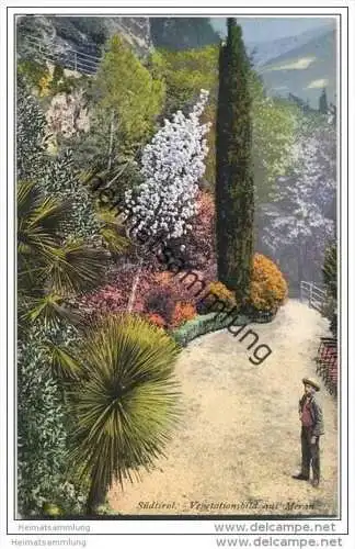 Meran - Vegetationsbild