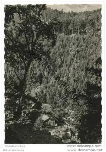 Blick vom Dürre Schild ins Schwarzatal - Foto-AK Grossformat 1958