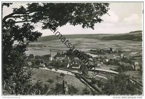 Polle - Gesamtansicht - Foto-AK