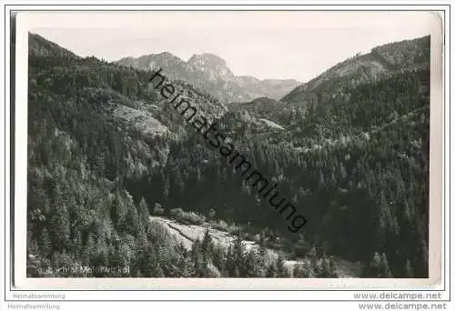 Jenbachtal - Malerwinkel - Foto-AK