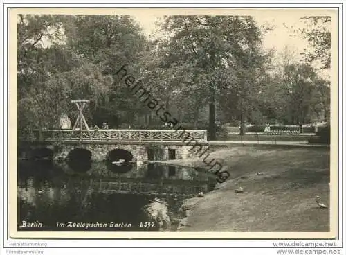 Berlin - Im Zoologischen Garten - Foto-AK Grossformat