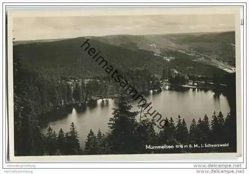 Mummelsee - Gesamtansicht - Foto-AK