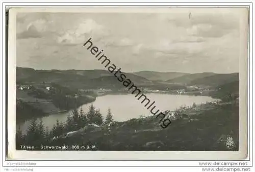 Titisee - Gesamtansicht - Foto-AK