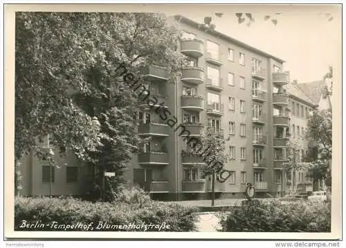 Berlin-Tempelhof - Blumenthalstrasse - Foto-AK Grossformat Handabzug - Verlag Bruno Schroeter Berlin 60er Jahre