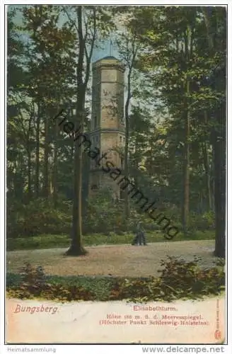 Bungsberg - Elisabethturm - Verlag Alb. Giesler Eutin gel. 1911