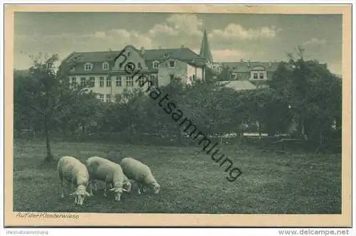 Eichstätt - Auf der Klosterwiese - Institut der Englischen Fräulein - Verlag Kettling &amp; Krüger Schalksmühle