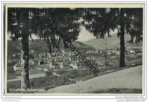 Schopfheim - Gesamtansicht