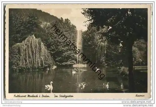 Mosbach - Stadtgarten - Foto-AK