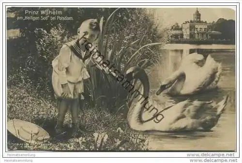 Prinz Wilhelm am heiligen See bei Potsdam - Schwäne - Sohn des Kronprinzenpaars