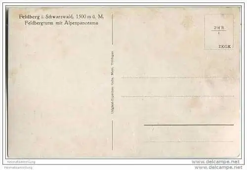 Feldberg - Feldbergturm - Alpenpanorama