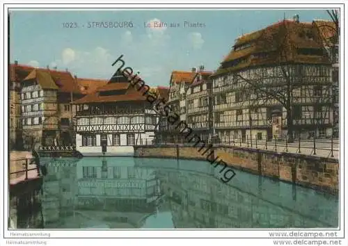 Strasbourg - Le Bain aux Plantes