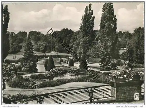 Berlin - Botanischer Garten - Italienisches Panorama - Foto-AK