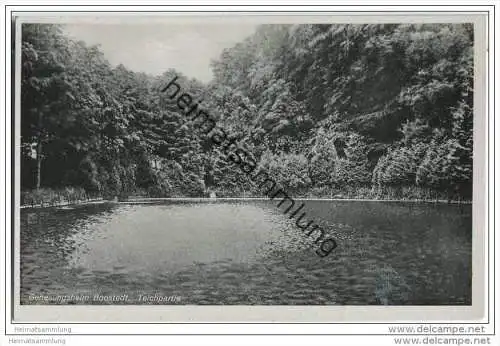 Boostedt - Teichpartie