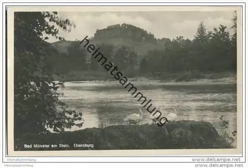 Bad Münster am Stein - Ebernburg