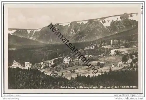 Karpacz Gorny - Brückenberg - Blick nach den Teichrändern - Foto-AK