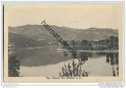 Das Elbetal bei Salesel - Dolni Zalezly