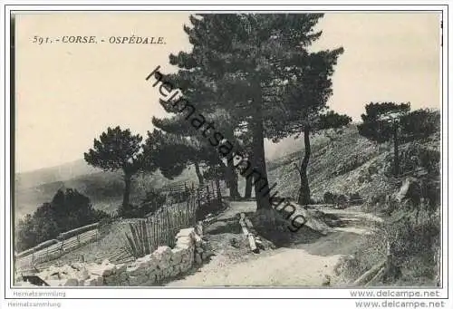 Ospédale - Corse-du-Sud