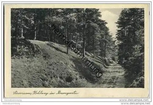 21224 Sieversen - Hohlweg im Rosengarten