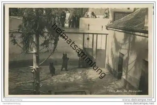 Bern - Im Bärengraben - Foto-AK